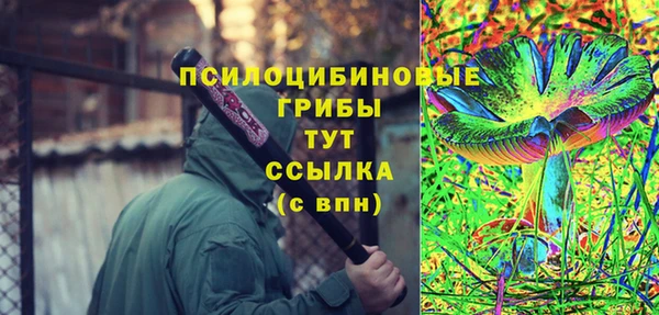 MESCALINE Надым