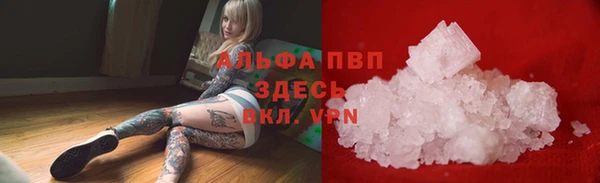 марки lsd Новозыбков