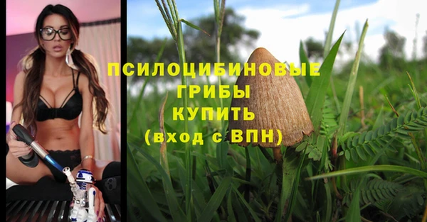 прущая мука Нефтекумск