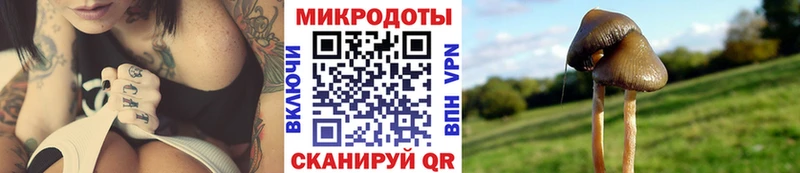 Галлюциногенные грибы ЛСД  где можно купить   Ряжск 